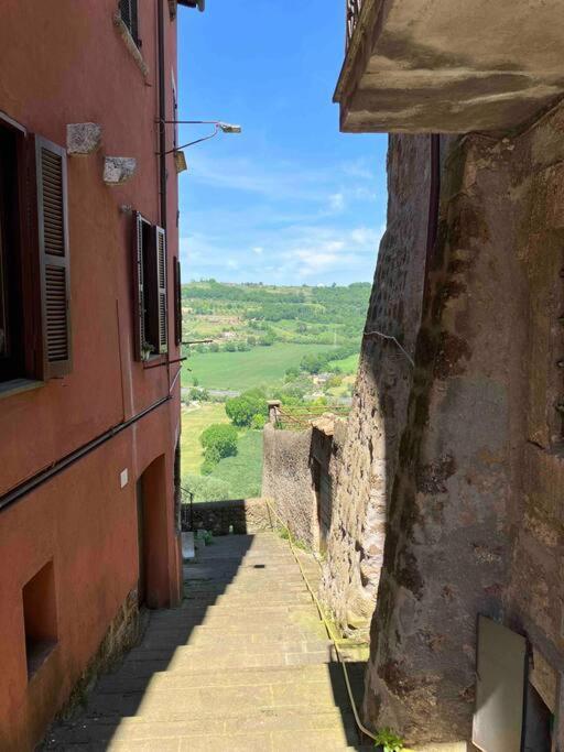 Appartamento Nel Borgo Orte Dış mekan fotoğraf